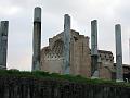 Roman Forum - Palantino-06